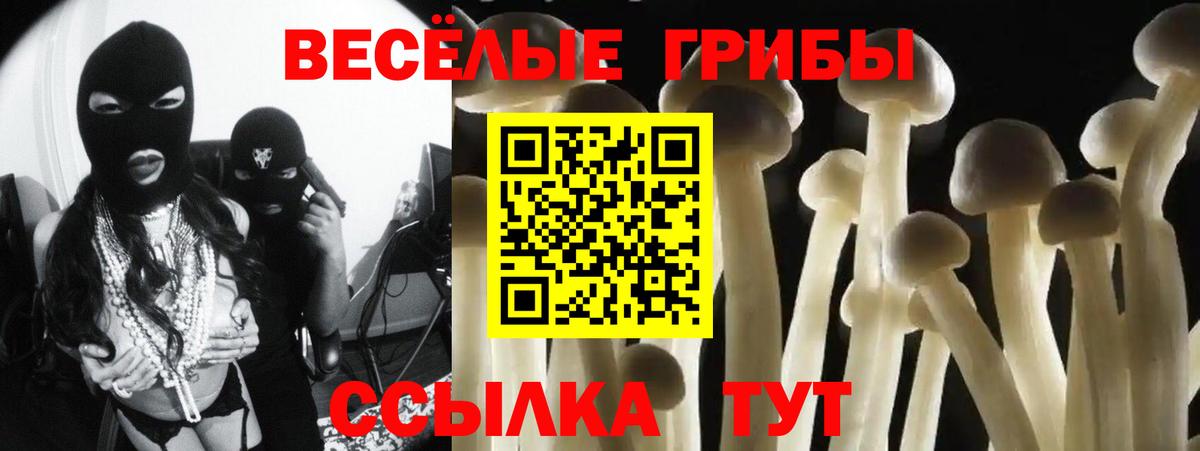 Галлюциногенные грибы GOLDEN TEACHER  Псилоцибиновые грибы GOLDEN TEACHER  Чапаевск  Вход с VPN 
